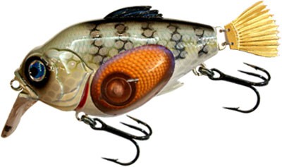 An Pan Fish color 