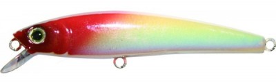 Arc Minnow color 269T