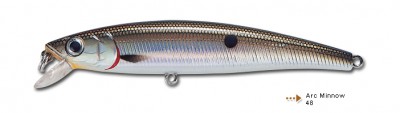 Arc Minnow color 48