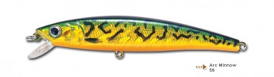 Arc Minnow color 56