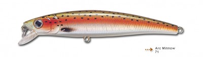 Arc Minnow color 71