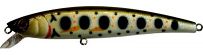 Arc Minnow color A51T