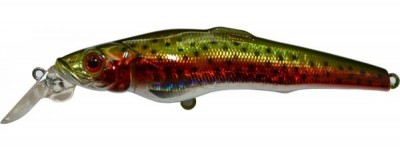 Challenger X color 71