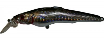 Challenger X color A010