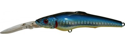 Challenger X color A02A