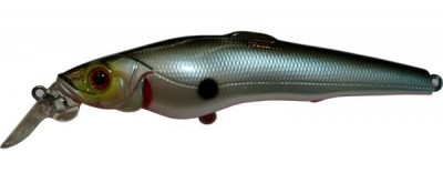 Challenger X color A05