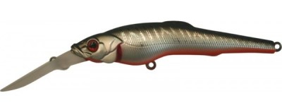 Challenger X color A06E