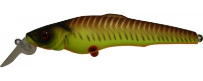 Challenger X color A16