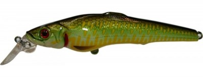 Challenger X color C30