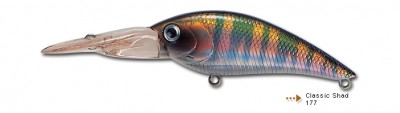 Classic Shad color 177