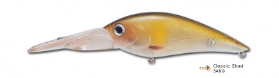 Classic Shad color 346G