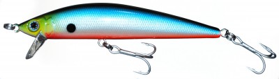Euro Minnow color A05