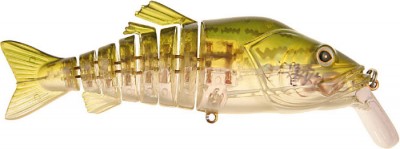 Flex Phantom color 551G