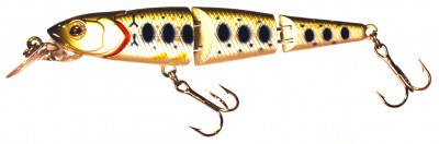 Flying Fish Joint color 