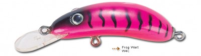 Frog Wart color W4C