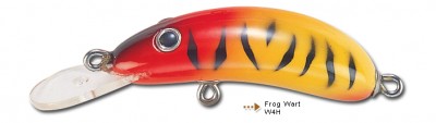 Frog Wart color W4H