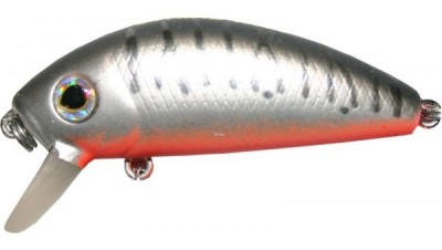 Mustang Minnow color A06E