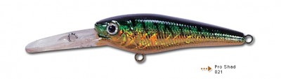 Pro Shad color 021