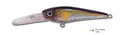 Pro Shad color 146