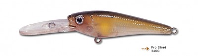 Pro Shad color 346G