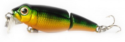 Pygmy Joint color 017