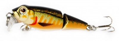 Pygmy Joint color C30