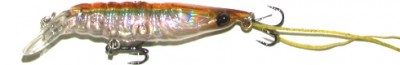 Shrimp color 502