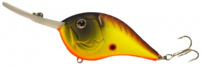 Super Diver color A16