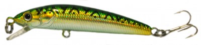 Swing Minnow color 081