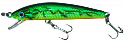 Swing Minnow color 621