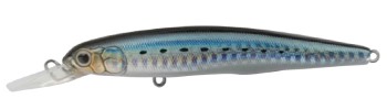 Bitstream SW color Slit HG Sardine