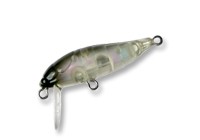 Cicada color Aurola Black