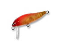 Cicada color Aurola Orange