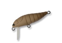 Cicada color Matt Kahki