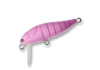 Cicada color Matt Pink