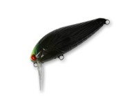 Large Cicada color Aurola Black Chart