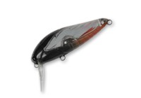 Large Cicada color Aurola Green