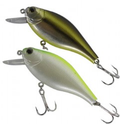 Flat Pepper 60 color 