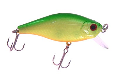 Flat Pepper 60 color 187