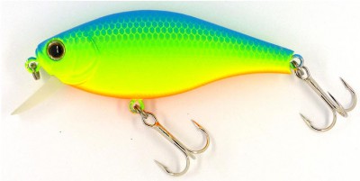 Flat Pepper 60 color 211