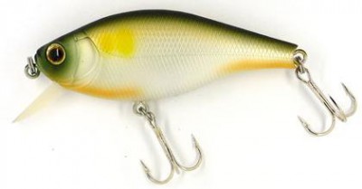 Flat Pepper 60 color 220