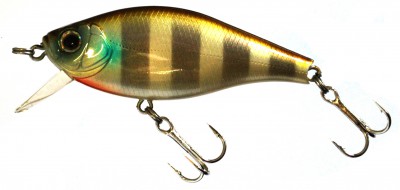 Flat Pepper 60 color 244