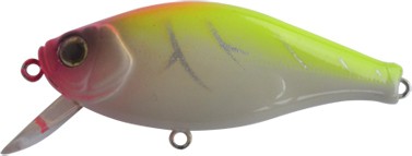 Flat Pepper 60 color K-02