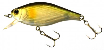 Flat Pepper 70 color 211