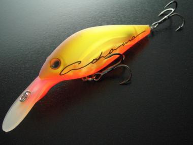 Co Hama color saiunkoku (yellow)