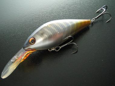 Co Hama color shad
