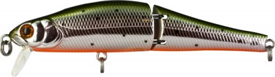 Joint Minnow color 055
