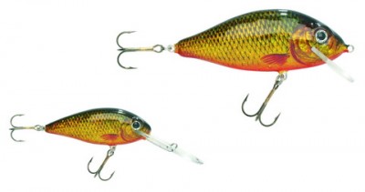 Crucian Carp color CC