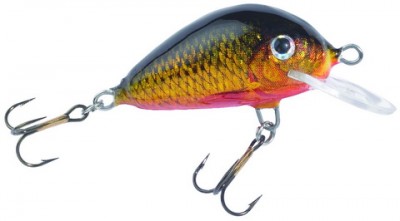 Pike-Perch color CC