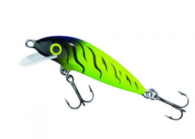 Trout Magnet color LGT